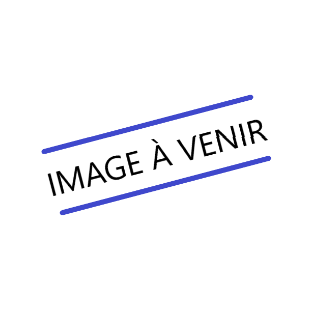 Galettes à la mélasse