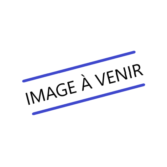 Galettes à la mélasse